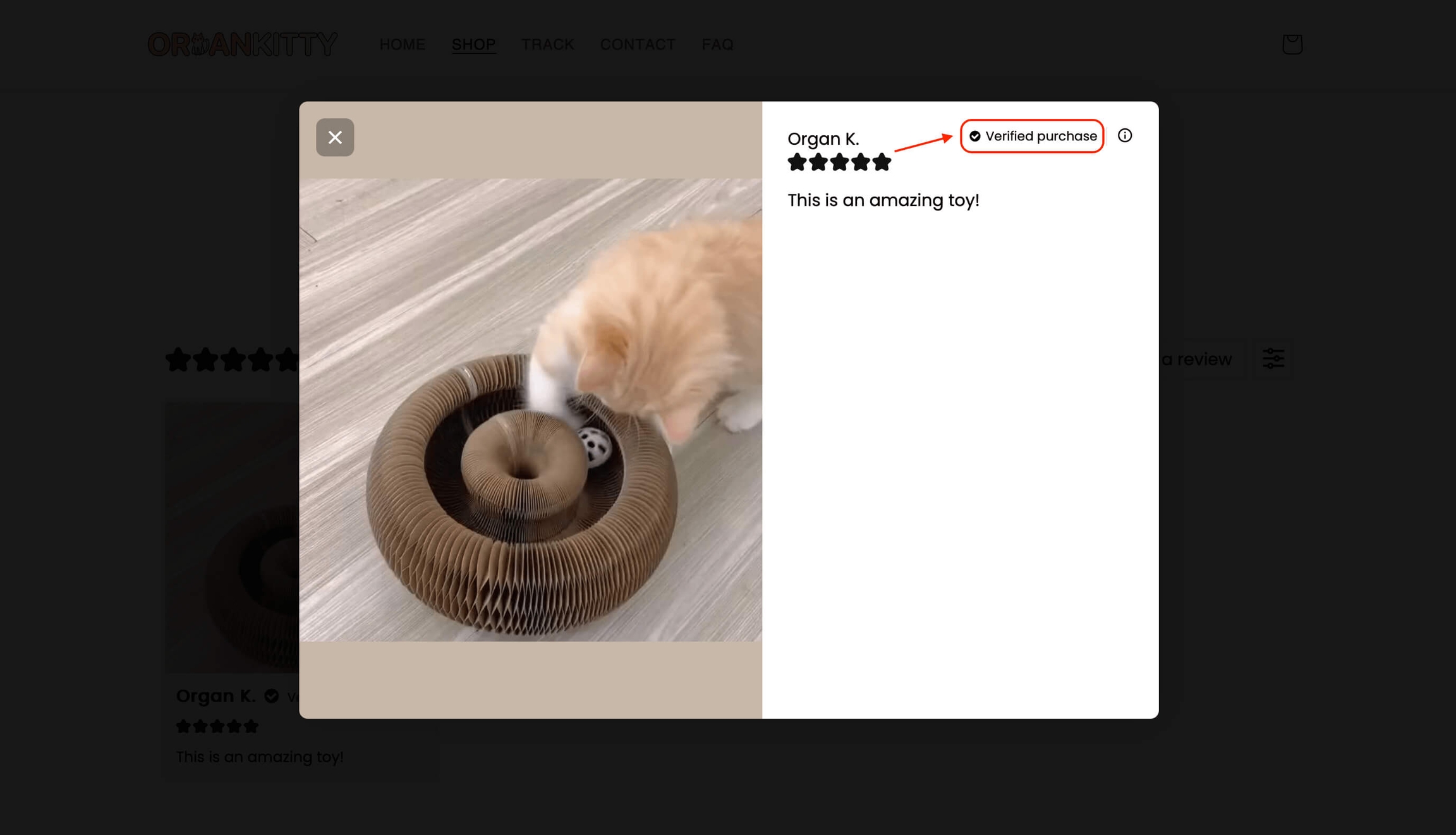 VecomLab Shopify App Loox